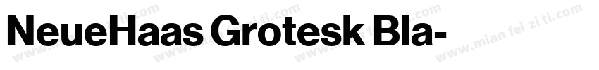 NeueHaas Grotesk Bla字体转换